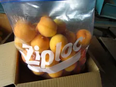 青森県 南部地方産 完熟豊後梅(ブンゴ) 冷凍 Lサイズ+2Lサイズ ジプロック1袋2㎏入り 梅農家生産者直送便 梅漬け 梅酒 梅サワー