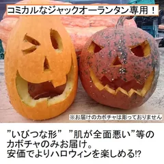 【訳あり】ジャック・オー・ランタン用かぼちゃ2個ミニセット Mサイズ2kg
