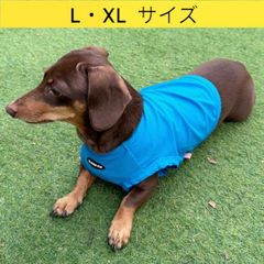 メルカリ ダックス服 L XL  接触冷感 クール クロップド タンクトップ ひんやり 小型犬 中型犬 ダックスフンド  夏 doggystar ドッギースター