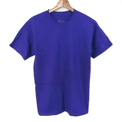チャンピオン 半袖Ｔシャツ トップス コットンT ロゴT メンズ Sサイズ パープル Champion 【中古】