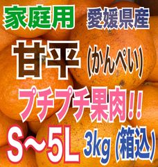 愛媛県伊予郡砥部町特産 七折小梅 秀品 5kg (箱込）L～3L(サイズ選択不可) - メルカリ