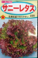 未開封＜野菜の種＞サニーレタス 種 3ml リーフレタス　スーパーレッド