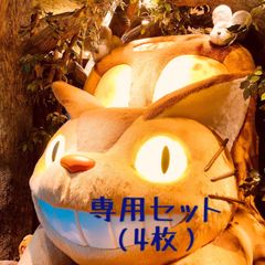 バタコ様専用　4枚セット