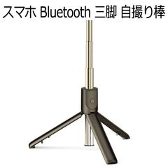 Item thumbnail for item 50c977b5-421d-44f7-b239-29699df137e3