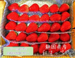 大粒〜中粒 紅ほっぺ いちご 🍓 〜農家直送〜