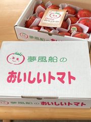 トマトハウス夢風船 おいしいトマト 【2箱セット】