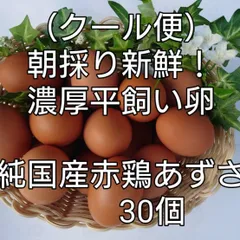 （クール便）朝採り新鮮お届け！平飼い濃厚卵　純国産赤鶏あずさ30個