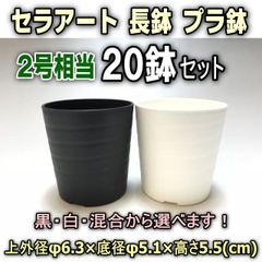 セラアート2.5号(φ6.3cm:2号相当)プラ鉢の黒白混合を選べる20鉢セット＊多肉植物・塊根植物コーデックス・アガベ・サボテン・盆栽・観葉・ハオルチア・アデニウム・パキポディウム・実生＠フラワーショップ江口
