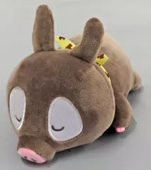 のりちゃん専用ぬいぐるみ33本 2025年最新】のりちゃん 専用の人気アイテム - メルカリ