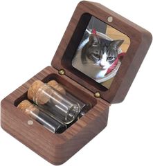 Item thumbnail for item dc36d9b9-cdc0-4c45-8a59-666abbbcec5c