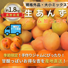 生あんず～ジャム加工向き～【内容量】約1.8kg【配送方法】クール配送【サイズ】L以上【品目】杏（あんず）【品種】当店お任せ【産地】長野県【規格】規格外品【詰め方】バラ詰め【配送までの日数】1～4日
