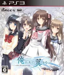 PS3 ソフト 俺たちに翼はない 通常版