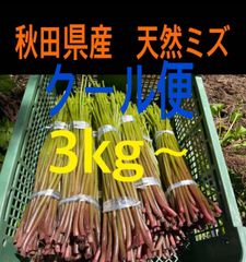 チーカマさん専用 タケノコ3kg - メルカリ