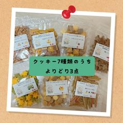 〈犬と猫の無添加おやつ専門店〉クッキー　よりどり3点セット　犬用
