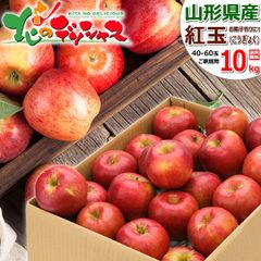 【予約/10月上旬(10月3日)頃～出荷予定】 山形県産 ご家庭用 りんご 紅玉 10kg (訳あり/40玉～60玉入り) こうぎょく リンゴ 林檎 わけあり ご自宅用 ご家庭用 お家用 お得 お買い得 果物 フルーツ 山形県 山形県直送 グルメ お取り寄せ
