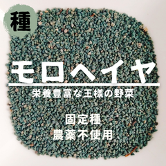 【種】モロヘイヤ　農薬不使用　1000粒
