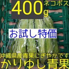 〈お試し特価〉沖縄県産 うりずん豆（琉球四角豆）約400g 【ネコポス】⑤