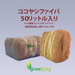 お買い得商品