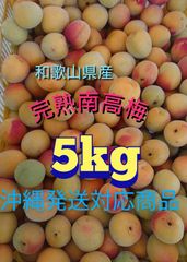 南高梅完熟　5kg　クール便対応商品