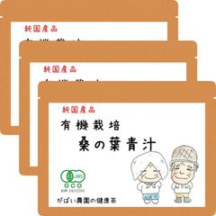 有機栽培 大麦若葉青汁 100g（お得な3個セット）【がばい農園公式】