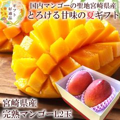 マンゴー 内祝い 出産内祝い お祝い 謝礼  お礼 お見舞い 快気祝い お供え ご霊前 手土産ギフト ゴルフコンペ景品 ご結婚お祝い 結婚内祝い 寿 [宮崎完熟マンゴーL2玉A] 冷蔵便 クール便