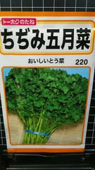 ちぢみ 五月菜 種 ３袋セット とう菜