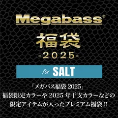 メガバス　オンライン限定2025　格納庫セット　新品 メガバス オンライン限定2025 格納庫セット 新品 メガバス