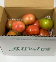 【規格外 訳あり商品】熊本県産 トマト 訳あり 箱込み 約2キロ【003】サイズ不揃い くまもと とまと 無規格外 家庭用 贈答不可 加工用 通販
