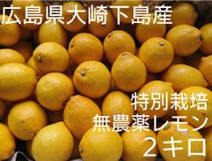 酸っぱいだけじゃない！甘味も感じる広島県大崎下島産 特別栽培レモン2キロ