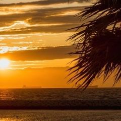 JAG-TOY SUMMER TIME JUNCTION - メルカリ