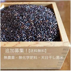2025年最新】黒米 無農薬の人気アイテム - メルカリ