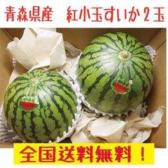 青森県産　小玉すいか2-3玉　4ｋｇ　送料無料！