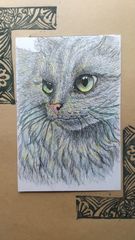 ペン+色鉛筆画「風格漂うシャム猫」