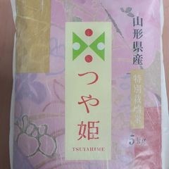 山形のお米　つや姫　5kg×4袋(20kg) 山形県産つや姫 20kg(5kg×4袋) 【無洗米】 令和6年産 米 お米