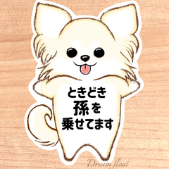 ときどき孫を乗せてます【わんこチワワ.ホワイト】マグネットタイプ/シールタイプ/吸盤タイプ