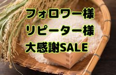 お米山形県天童産【はえぬき】10kg玄米