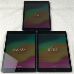 iPad（ジャンク含）