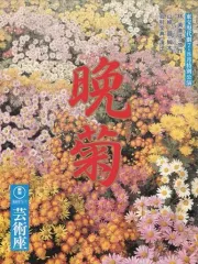 I03サイン入り舞台パンフレット『東宝現代劇新春特別公演 越前竹人形』（森光子サイン）B5/20P/昭39年 2023年3月16日から開演の舞台『華Doll* THE STAGE -Another