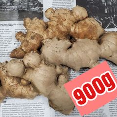 おや生姜 土付き 土佐一 900g