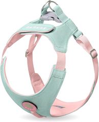 Item thumbnail for item 90087cab-c13e-40ba-a946-978eb0c56044