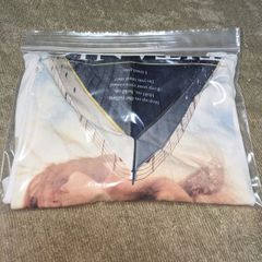 タイタニック　ｈ&M tシャツ　Lサイズ
