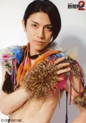 2025年最新】熱帯男子2 DVDの人気アイテム - メルカリ