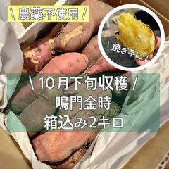 さつまいも鳴門金時　箱込み2キロ