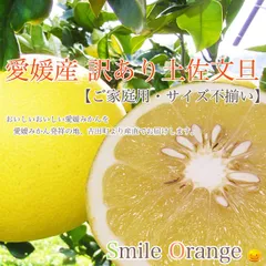 文旦 土佐文旦 4kg 訳あり ご家庭用 サイズ不揃い ぶんたん 愛媛産 Smile Orange