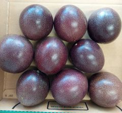 数量限定！大人気　沖縄産パッションフルーツ　9個