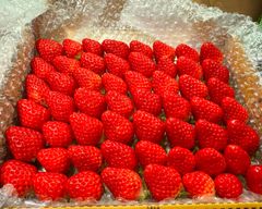 小粒中粒サイズ 750g 紅ほっぺ いちご🍓