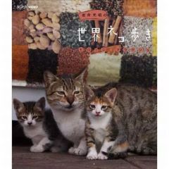 Item thumbnail for item 8d5c97b4-2d06-4393-8fe8-7a38c78b9811