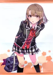 【ぽんかん⑧展】やはり俺の青春ラブコメは間違っている。ミニアートグラフ一色いろは Amazon.co.jp: ぽんかん⑧展 やはり俺の青春ラブコメはまちがっ