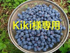 Kiki様専用　冷凍ブルーベリーミックス5㎏プラスα！♪８月30日以降に発送