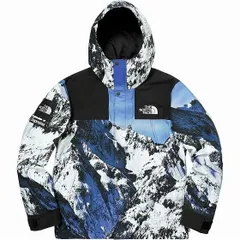 Supreme x THE NORTH FACE｜シュプリーム ザノースフェイス MOUNTAIN PARKA 雪山マウンテンパーカーNP61701I